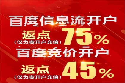 揭秘：成功SEM推广代运营公司案例解析
